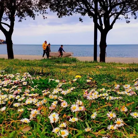 Sea Sun & Me * Koper