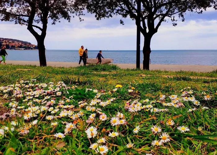 Sea Sun & Me * 코페르