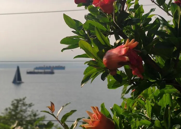 Sea Sun & Me 코페르